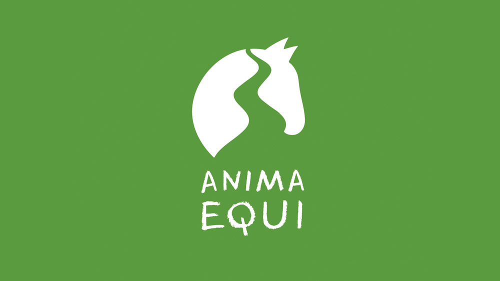 Anima Equi